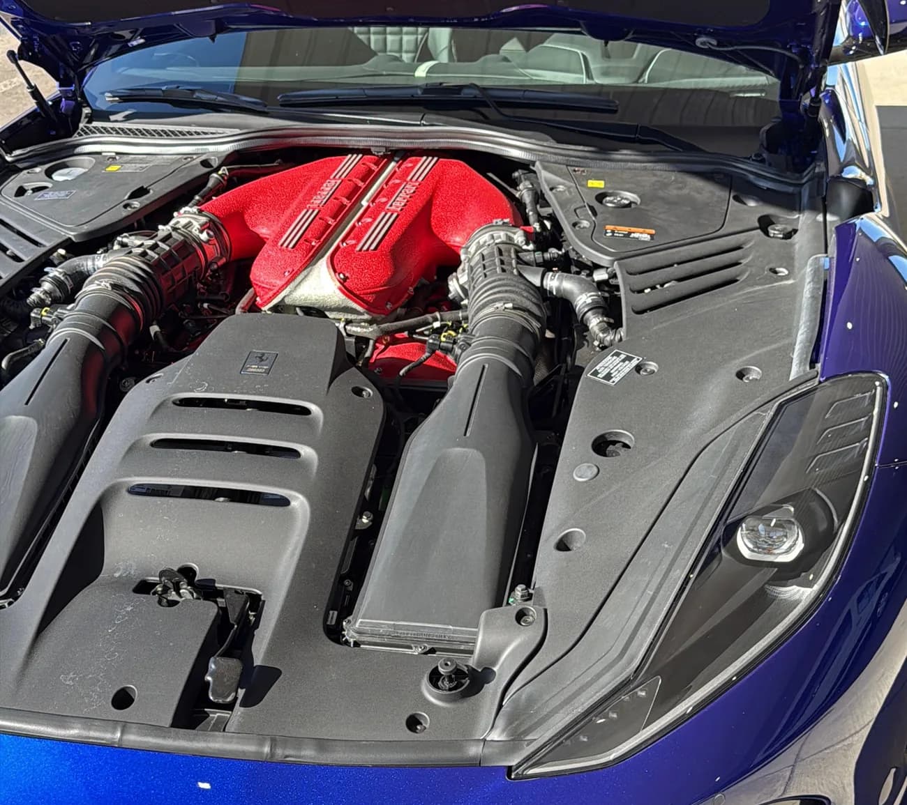 The naturally aspirated V12 engine, red cam covers visible under the open bonnet